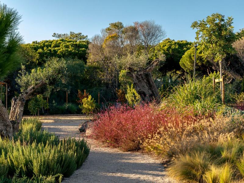 Villa Segurelha , Algarve , Vale do Garrao  