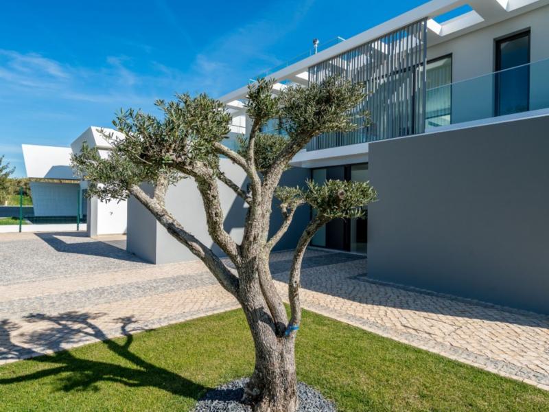 Villa Verao , Algarve , Vilamoura  