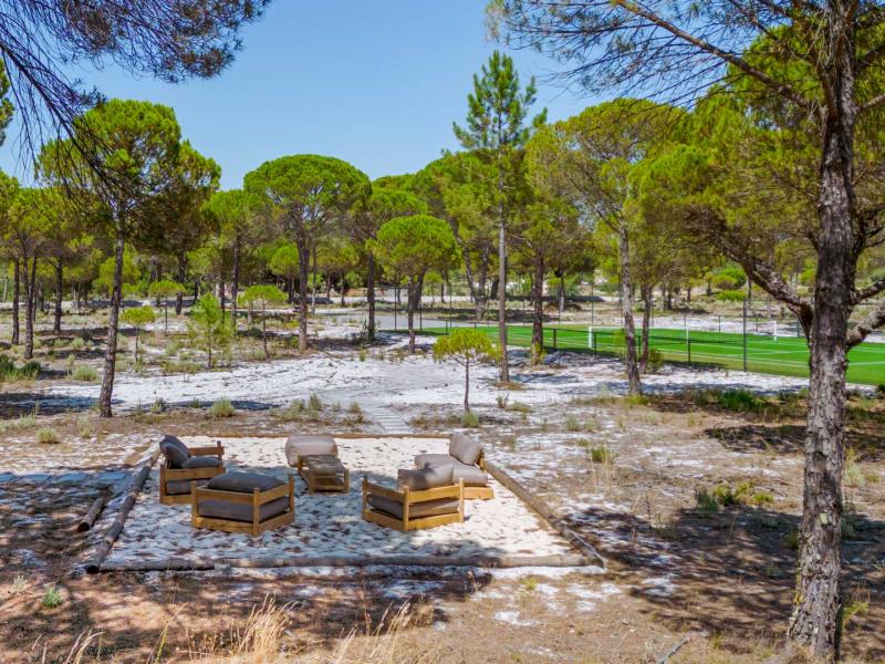 Outstanding Contemporary Comporta Home Immersed in Nature , Comporta  
