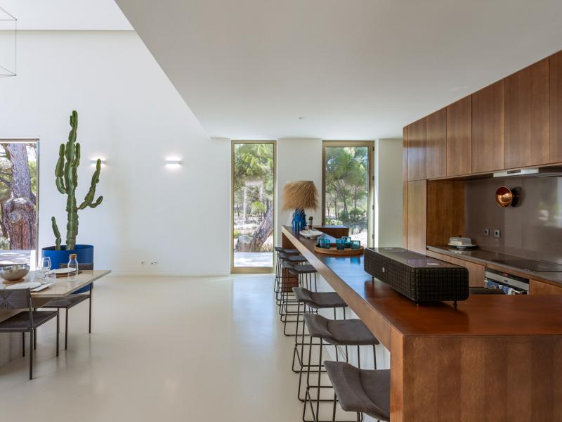 Outstanding Contemporary Comporta Home Immersed in Nature , Comporta  
